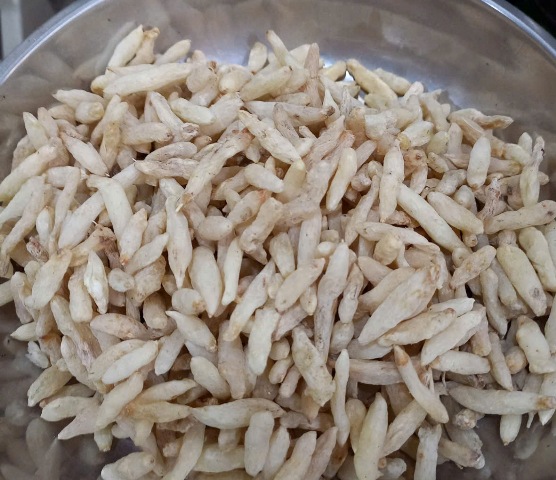 Mạch Môn